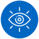 Vision icon Vision icon